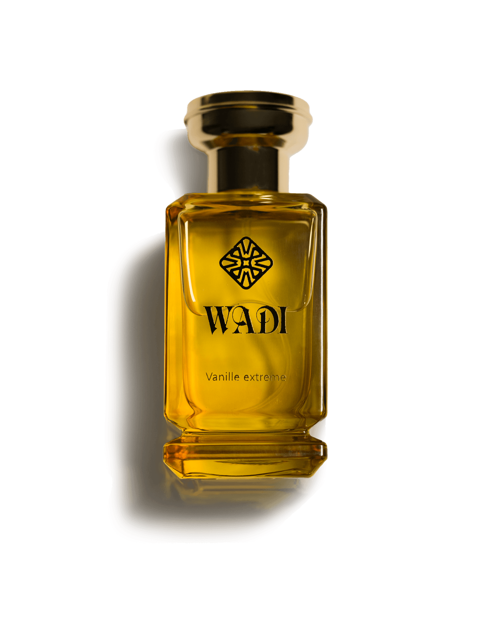 vanille extreme 100ml