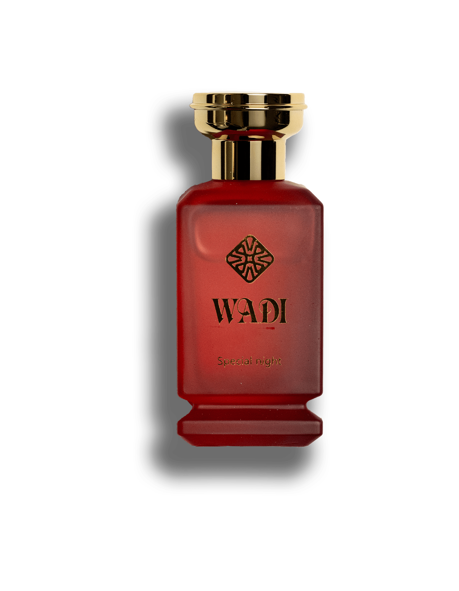 Special night 100ML